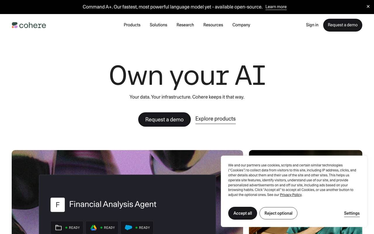 Cohere interface preview