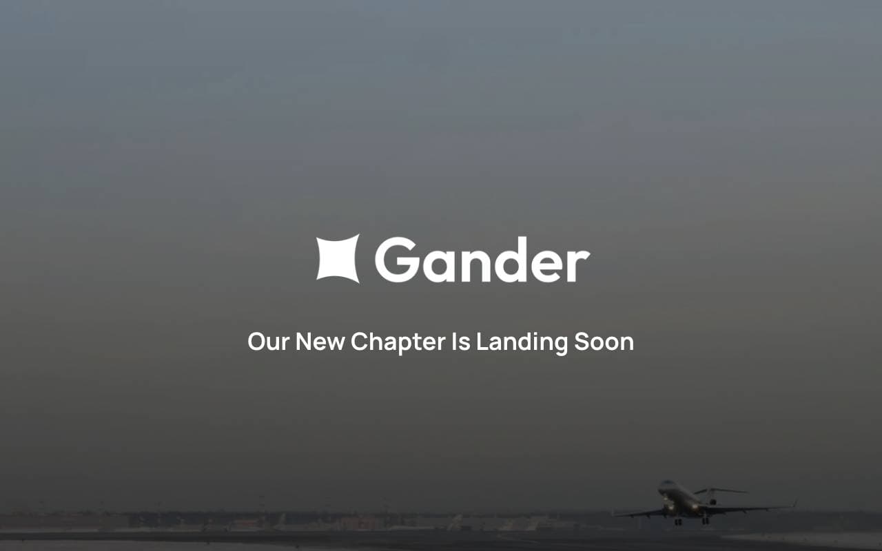 Gander interface preview