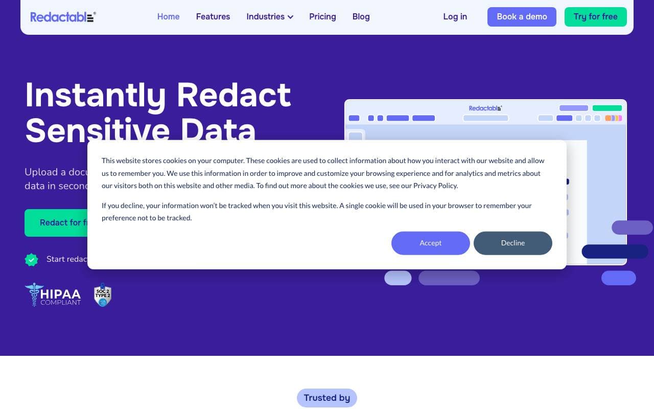 Redactable interface preview