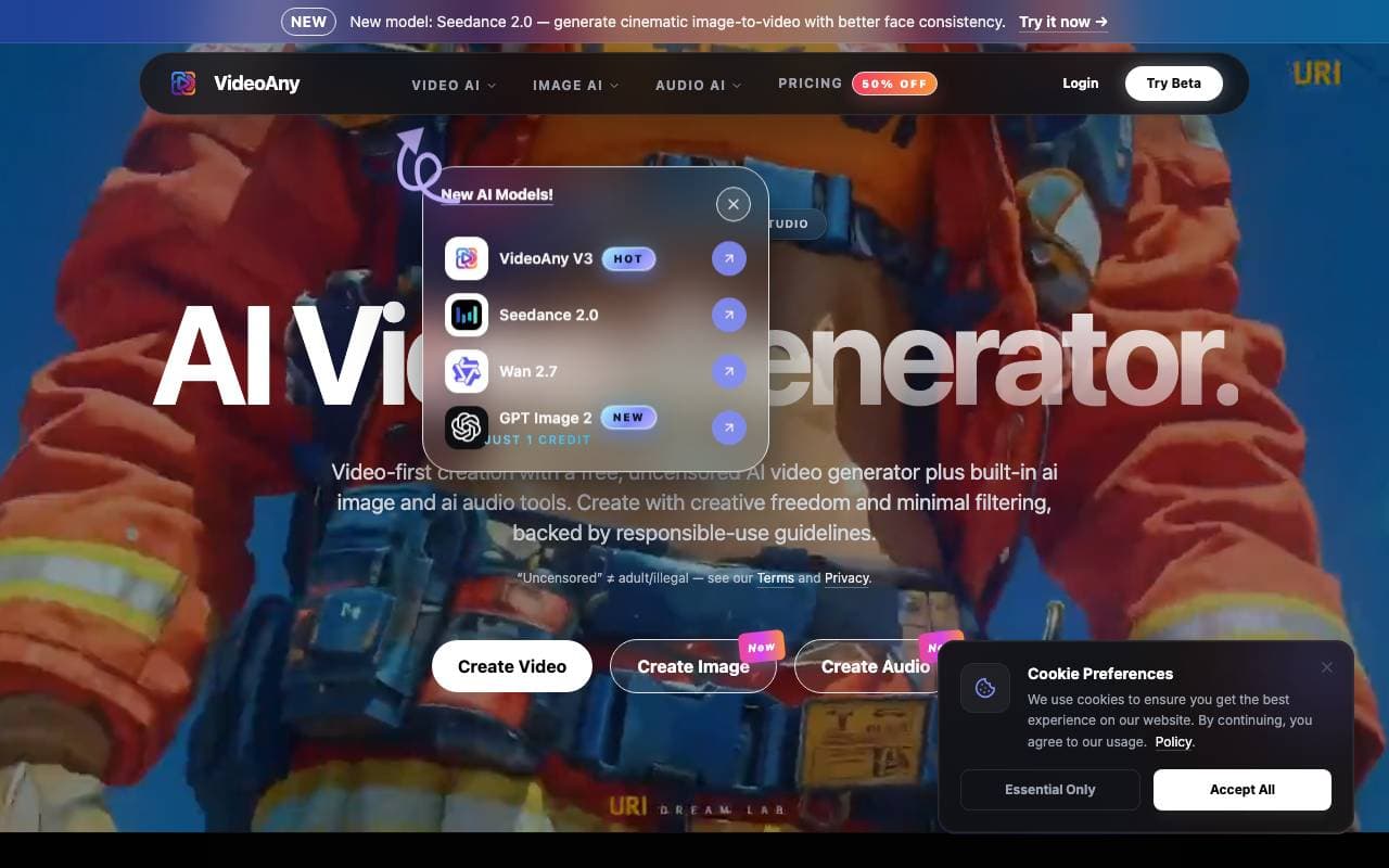 VideoAny interface preview