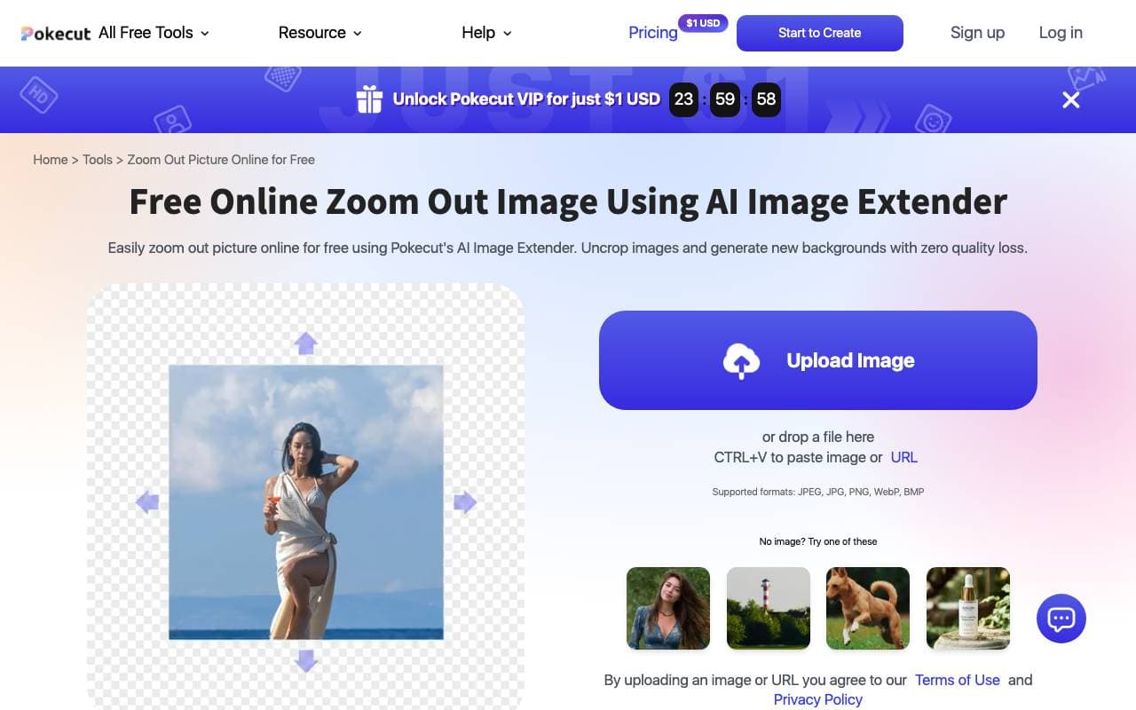 Online Zoom Out Image interface preview