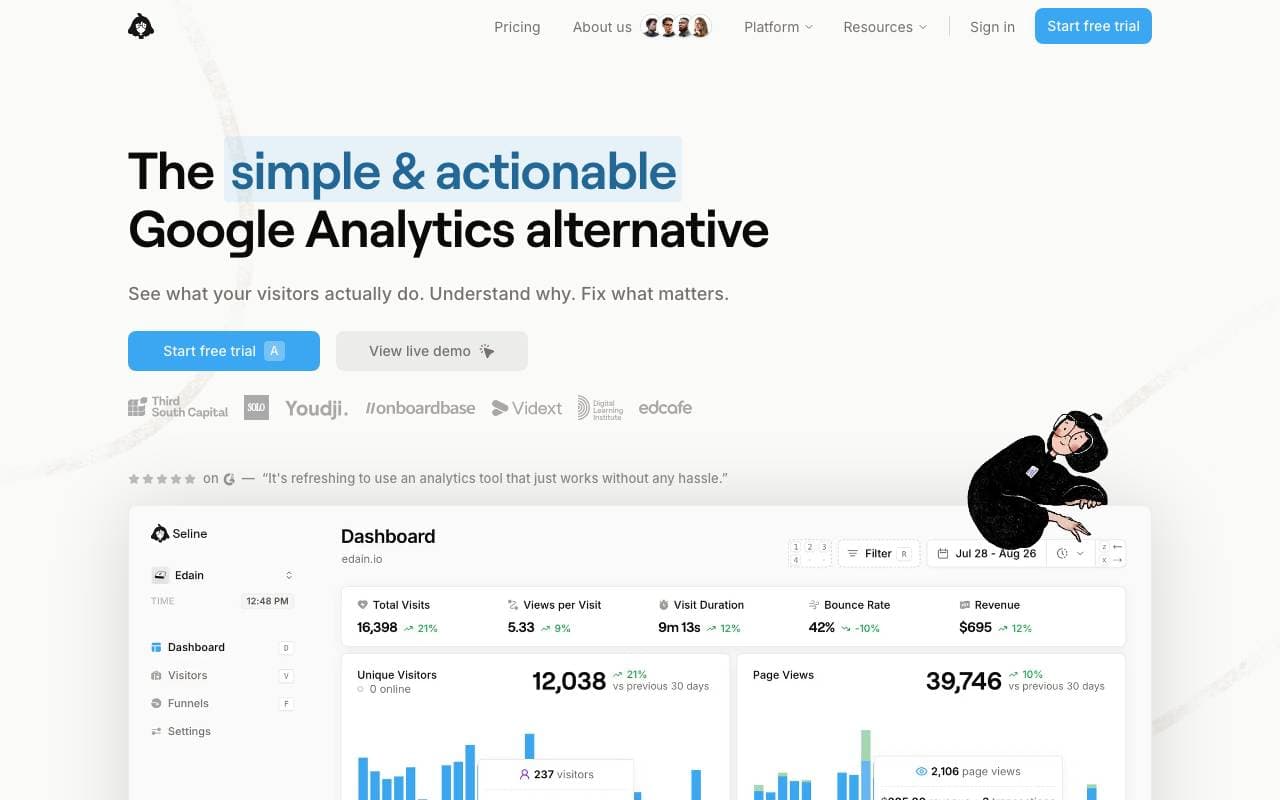 Seline Analytics interface preview